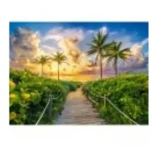 Puzzle 3000 pièces Castorland - Miami, Etats-Unis