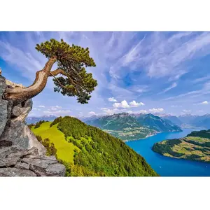 Vue du Lac d'Uri, Suisse 1000 Pièces Castorland pas cher