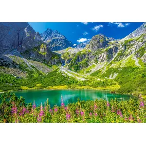 Puzzle - CASTORLAND - Zelene Pleso - 1000 pièces - Paysage et nature - Pour adultes pas cher