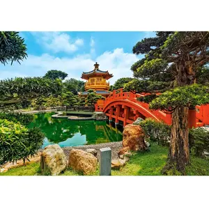 Puzzle 1000 pièces Castorland - Jardin Nan Lian, Honk Kong pas cher