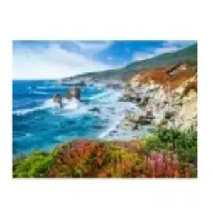 Puzzle 2000 pièces Castorland - Littoral de Big Sur, Californie, USA pas cher