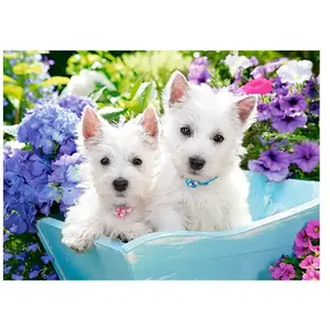 Westie Puppies, Puzzle 200 Teiles  - Castorland Puzzle  - 4438222032 