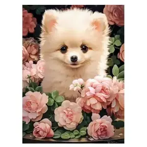 Castorland Puzzle 300 pièces : Chiot de Poméranie premium dans les roses