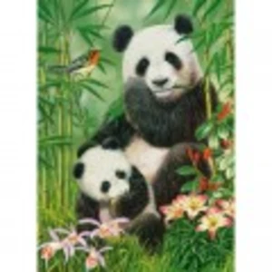 Puzzle 300 pièces - CASTORLAND - Brunch de Panda - Animaux - Enfant - Mixte pas cher