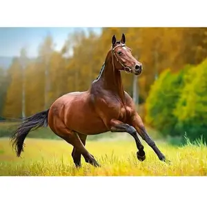 Autum wind, puzzle 180 parties  - Castorland Puzzle  - B-018314 