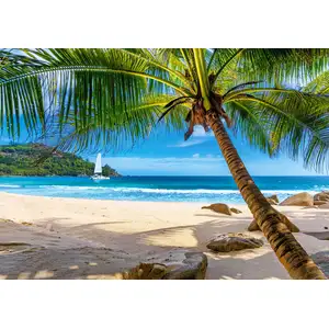 Vacances aux Îles Seychelles 500 Pièces Castorland pas cher