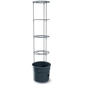 Comparateur de prix : Prosperplast Pot De Fleur Tomatoes 29.5x29.5x 23.6-115.2 Cm