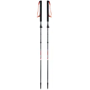 Viking Bâtons Mission Fs Skitouring pas cher