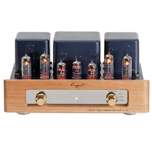Comparateur de prix : Cayin MT-12N 6P1 - Ampli à Tubes - Amplis Hi-Fi