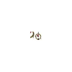 Accessoires guitares DIMARZIO DEP1715-VT CABLE GUITARE 4,50M VINTAGE TWEED Cable jack guitare