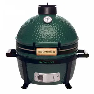 Kamado BIG GREEN EGG minimax pas cher
