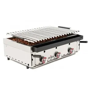 Barbecue à Gaz avec Pierre Volcanique et Grille Inoxydable Côtelée Rég...
