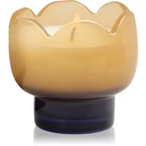 Paddywax Tulip Garden & Grove bougie parfumée 155 g pas cher