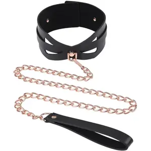 Comparateur de prix : Sportsheets Collier Laisse Simili Cuir et Cuivre Brat