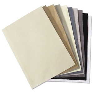 SIZZIX FOURNITURES CREATIVESa FEUTRE FEUILLES 10PK (10 COULEURSS), MUL pas cher