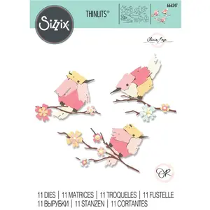 Sizzix Matrices de découpe Thinlits Die Painted Birds pas cher