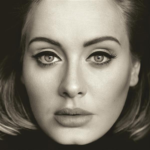 Comparateur de prix : Indigo 25 - Adele - VINYL