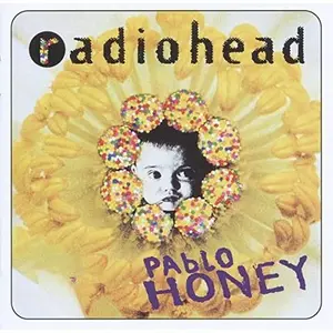 Comparateur de prix : XL RECORDINGS Pablo Honey Radiohead (Interprète) Vinyle album