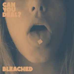 Comparateur de prix : Disques vinyles populaires : Can you deal ?