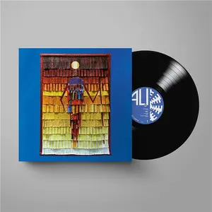 Comparateur de prix : Dead Océans Ali