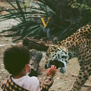 Comparateur de prix : Jagjaguwar V Unknown Mortal Orchestra (Interprète) Vinyle album