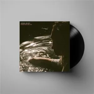 Comparateur de prix : Jagjaguwar Forever Means - Vinyle Maxi 45 Tours