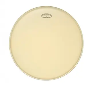 Aquarian American Vintage Medium 14" Aspect Animal