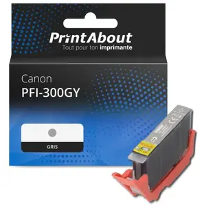 Comparateur de prix : PrintAbout Cartouche compatible Canon PFI-300GY - Gris