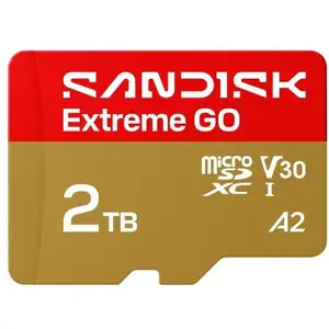 Carte mémoire Sandisk Extreme GO 2 TB microSDXC UHS-I 240 MB/s V30 A2