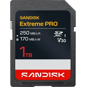 SanDisk 1TB Extreme PRO SD UHS-I Card - SDSDXXJ-1T00-GSCIN