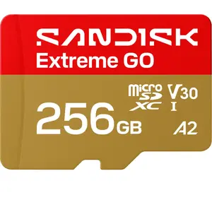 Carte microSD SanDisk Extreme GO 256 GB UHS-I 240 MB/s U3 V30 A2
