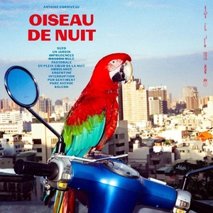 Comparateur de prix : Secret City Records Oiseau de nuit