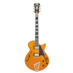 D'angelico Excel Ss Vintage Natural Guitare Électrique Avec ÉtuiVendu parbax-music