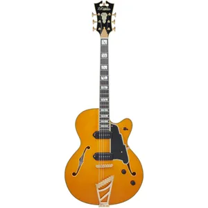 D'Angelico D'Angelico Excel 59 Vintage Natural guitare demi-caisse avec étuiVendu parbax-music