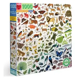 eeBoo A Rainbow World-Puzzle Adulte 1000 pièces en Carton recyclé, PZTRBW