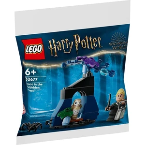Comparateur de prix : LEGO® Harry Potter 30677 - Drago dans la forêt interdite