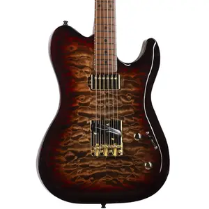 Godin Artisan TC Whiskeyburst MN guitare électrique avec étui