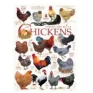 Cobble Hill Chicken Quotes pas cher