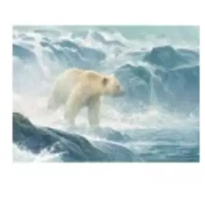 Pièces XXL - Salmon Watch - Spirit Bear 500 Pièces  Cobble Hill pas cher