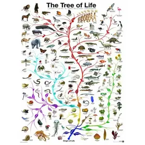 Puzzle Eurographics 1000 pièces - Arbre de vie - Paysage et nature pas cher