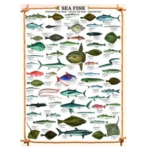 Comparateur de prix : EuroGraphics- Sea Fish Poisson Puzzle, 6000-0313, Coloris Assortis, 48 x 68 cm
