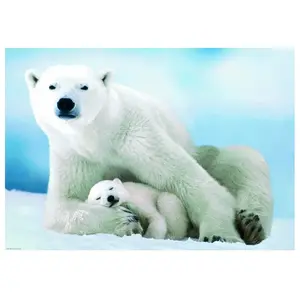 EurographicsPuzzles - Ours polaire et ourson - puzzle - 1000 pièces pas cher