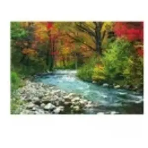 EurographicsPuzzles - Cours d'eau dans la forêt - puzzle - 1000 pièces pas cher