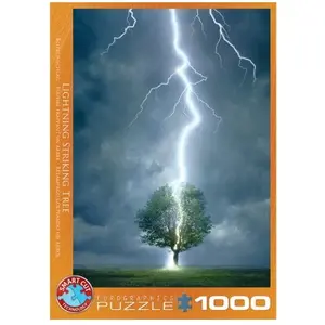 EurographicsPuzzles - Lightning Striking Tree I - puzzle - 1000 pièces