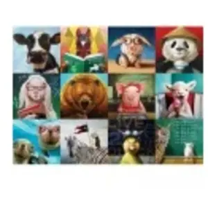 Puzzle Eurographics - Lucia Heffernan : Animaux rigolos, 1000 pièces pas cher