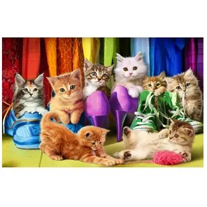 Eurographics Casse-Tête Eurographics Kitten Footware - 1000 Pièces