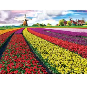 Comparateur de prix : EuroGraphics- Tulip Field-Netherlands Puzzle de 1000 pièces, 6000-5326, Multicolore