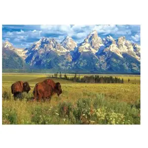 Parc National Grand Teton 1000 Pièces Eurographics pas cher