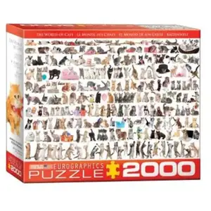 Eurographics Puzzle Motif Histoire de l'aviation - 1 000 pièces pas cher