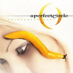 Comparateur de prix : MUSIC ON VINYL Thirteenth step - 2 LP